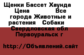 Щенки Бассет Хаунда  › Цена ­ 25 000 - Все города Животные и растения » Собаки   . Свердловская обл.,Первоуральск г.